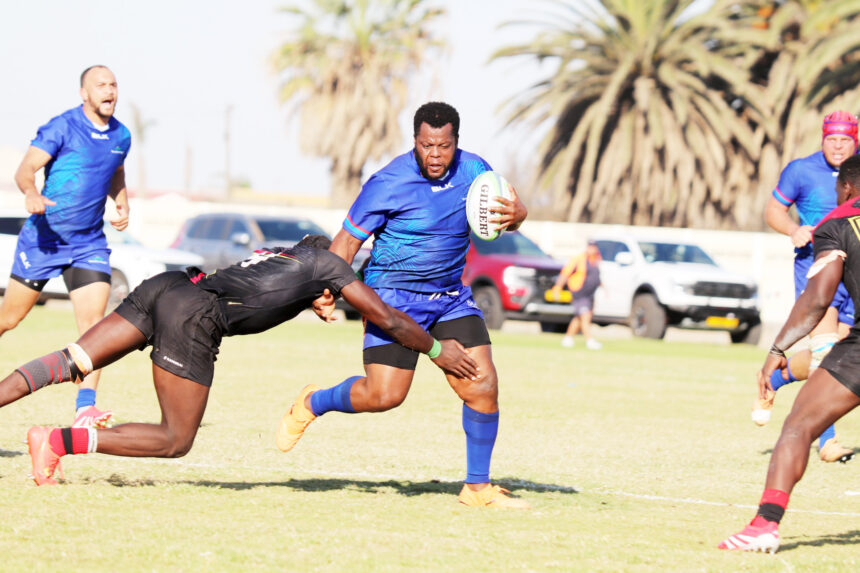 Welwitschias set for tough test against Pumas 