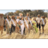 Honouring history, celebrating heritage