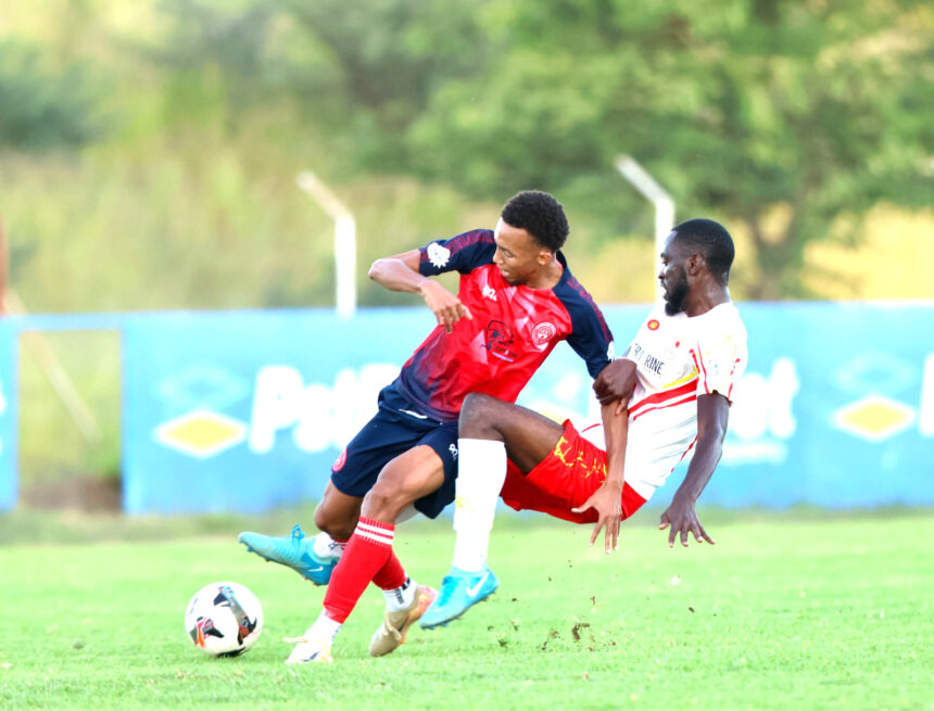 Stars crowned back-to-back champions 