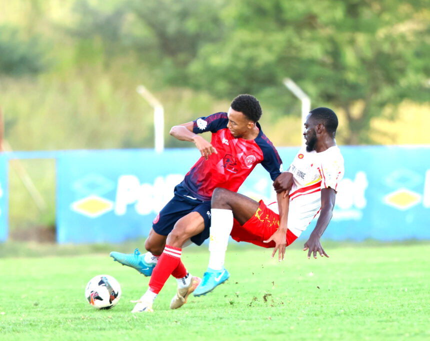 Stars crowned back-to-back champions 