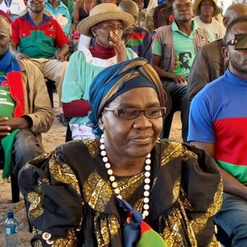 ‘Every house must fly Swapo flag’