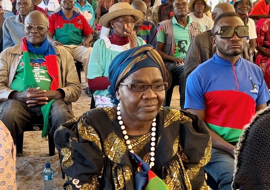 ‘Every house must fly Swapo flag’
