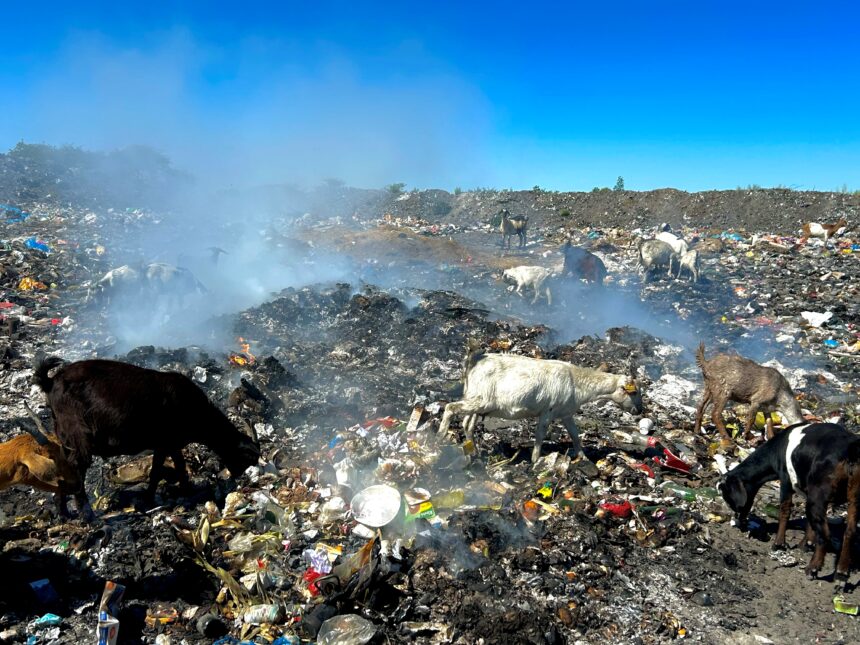 Iimuna, aantu taya hupile metoto 