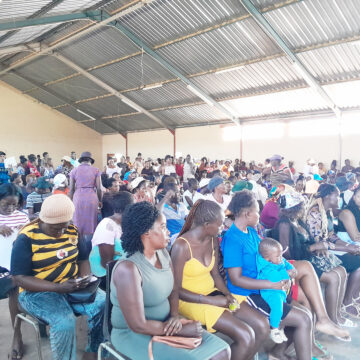 Youth Youth enterprises in limbo