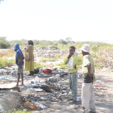 dumpsite 3 Grootfontein dumpsite: Unlikely home, food source
