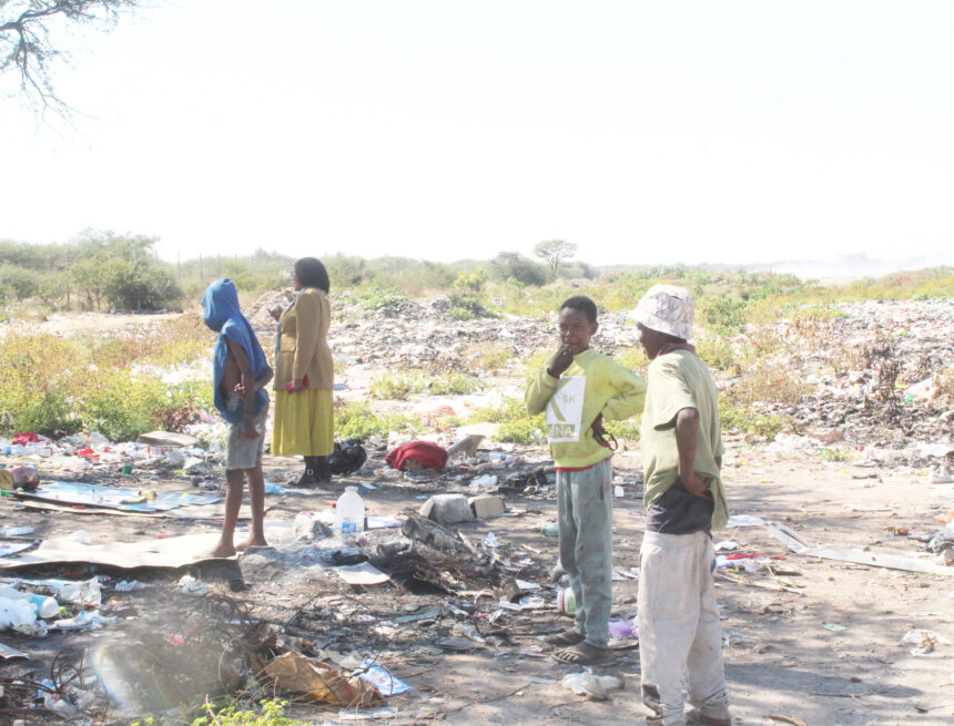 Grootfontein dumpsite: Unlikely home, food source 