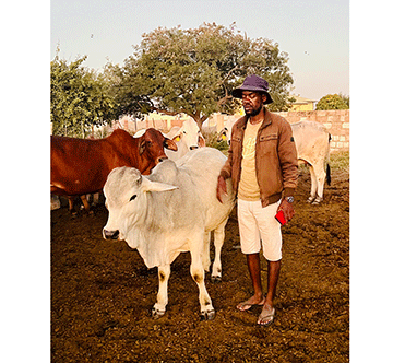 Landless farmer’s survival in limbo …finds grazing in Grootfontein