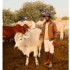 Landless farmer’s survival in limbo …finds grazing in Grootfontein