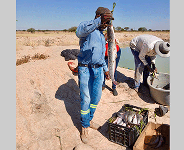 Oprojeka yeeshi tai yandje oshivelelwa noilonga
