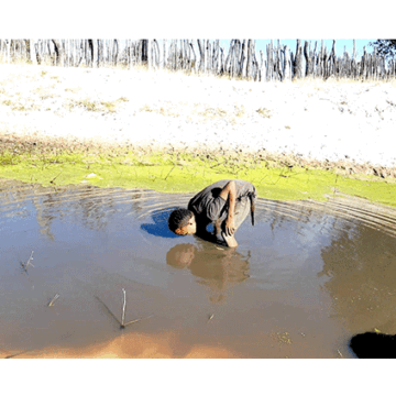 Cholera hits Opuwo …ministry calls for calmness, vigilance