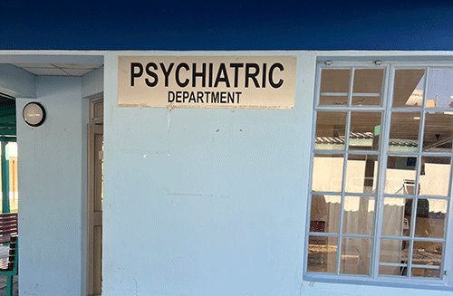 Mentally ill patient runs amok 