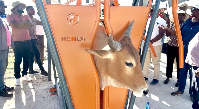 Winter care crucial for livestock 