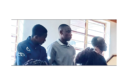 Trio denies murder, robbery, car theft charges 