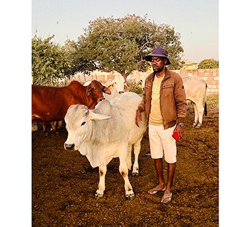 livestock-1 Landless farmer’s survival in limbo …finds grazing in Grootfontein