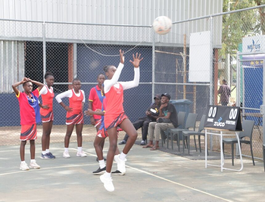 All Ages Preview Namibia in action at Telkom Netball tournament