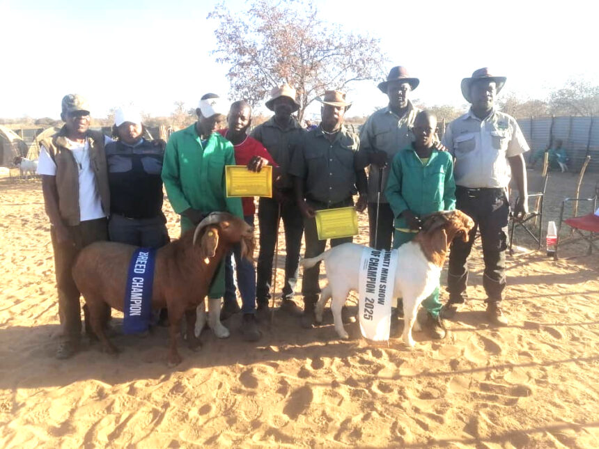 Otjimati agricultural show a resounding success