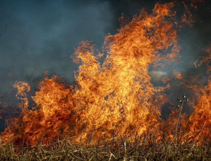 Farmers’ Kraal with Erastus Ngaruka – Tips on how farmers can manage veld fires