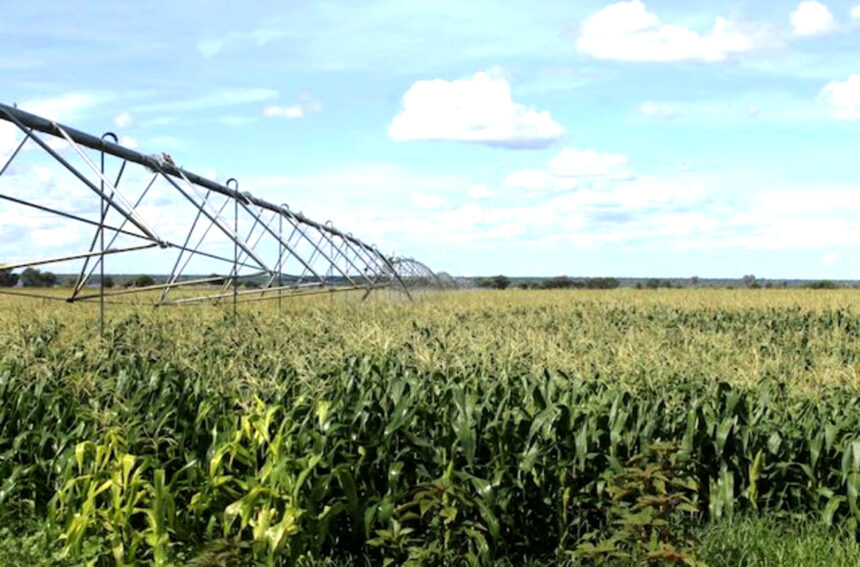 Green schemes Agricultural output remains low as imports hit 100m …reduced harvest, poor marketing cited