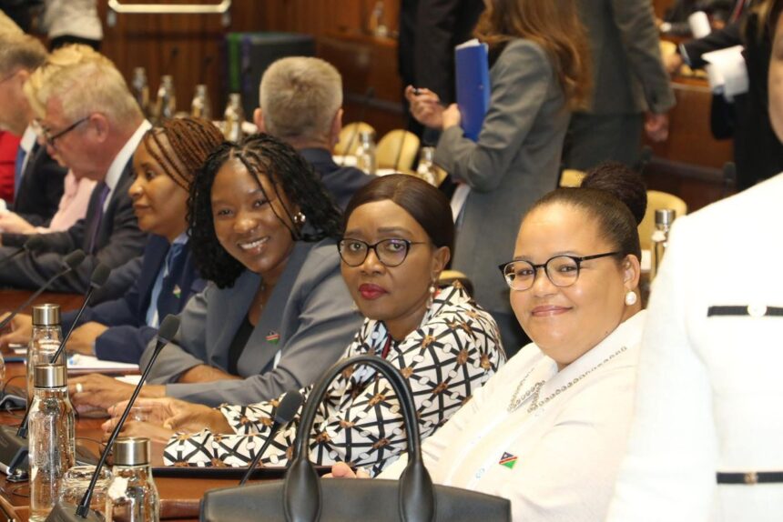 Speaker: Namibia leads in women, peace and security