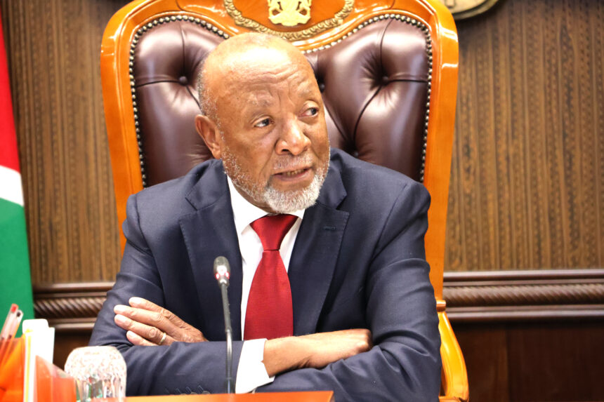 Mbumba Mbumba pushes for stronger Euro ties