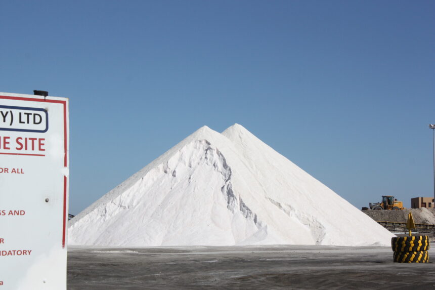 Namibia ships 45 000 tonnes of salt 
