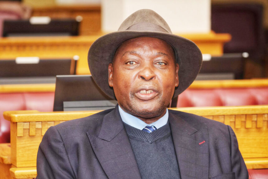 Sankwasa Namibia’s land delivery puzzle