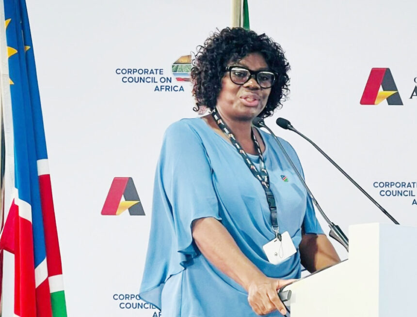 Summit US-Africa Business Summit yields US$2.5 billion