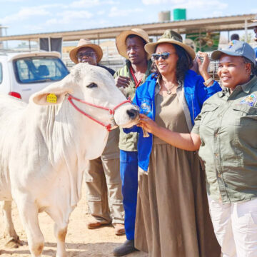 Zaamwani: Otjombinde agri show aligns with NDP6 …as farmers win top prizes  