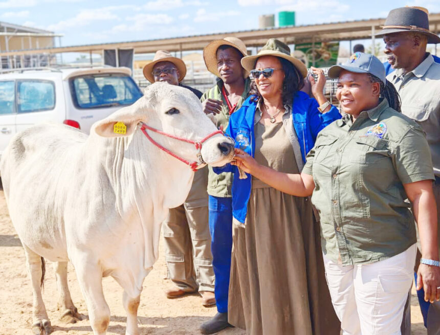Zaamwani: Otjombinde agri show aligns with NDP6 …as farmers win top prizes  