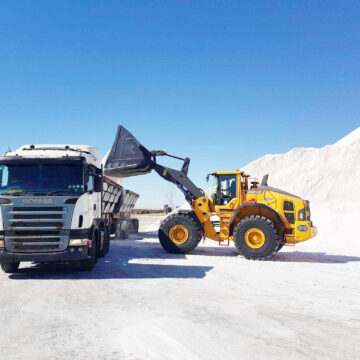 Trump tariffs halt salt exports to US …Namibia turns to Africa