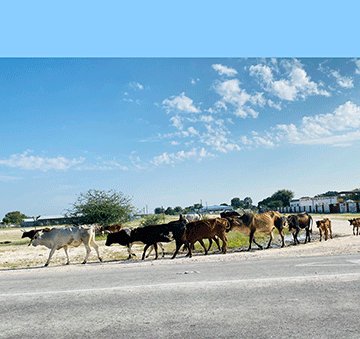 Oulunga woimuna wa lundalala nomoutalala