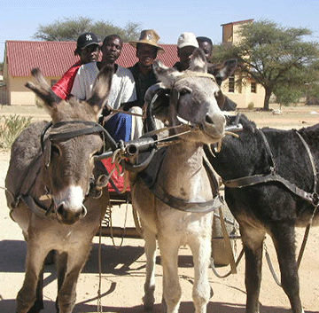 OVAMATJETE Ohungu mOmatjete mai tutumunwa
