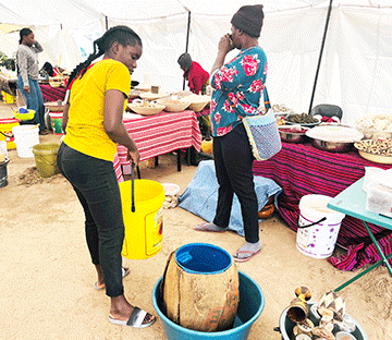 LAs crucial in nation building – Sankwasa