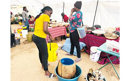 LAs crucial in nation building – Sankwasa