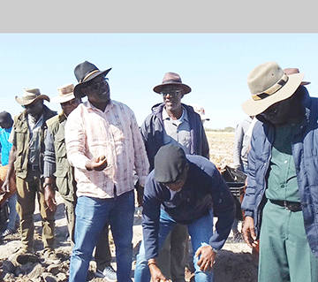 Odjala mOndonga – okekaku! …Va likola oihakautu