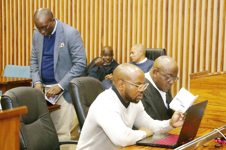 More bumps in Fishrot trial 