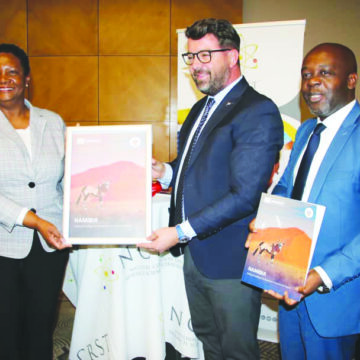 AI Namibia assesses AI readiness