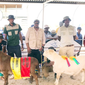 Aminuis agricultural show starts tomorrow 