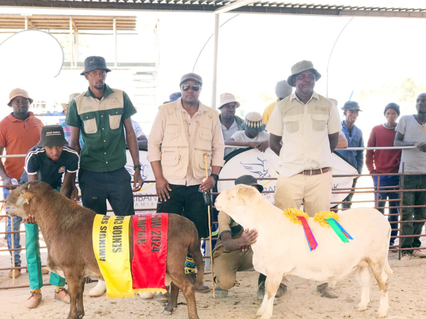 Aminuis agricultural show starts tomorrow 