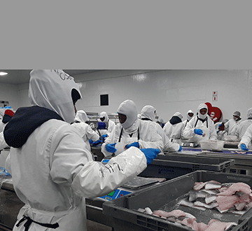 Fishing industry appeals for bycatch dialogue