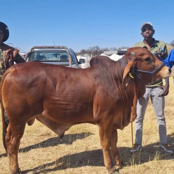 Farmers geared up for Epukiro show