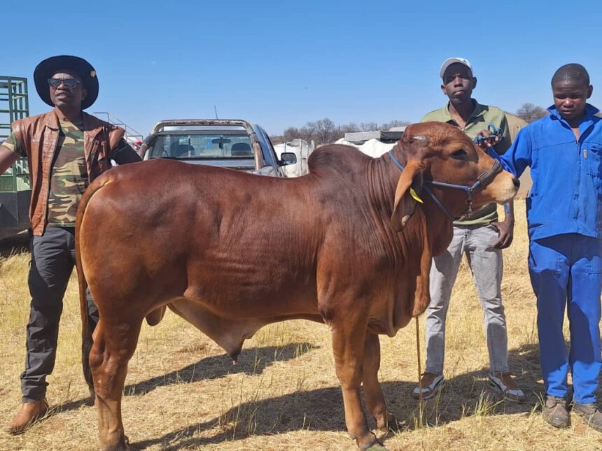 Farmers geared up for Epukiro show