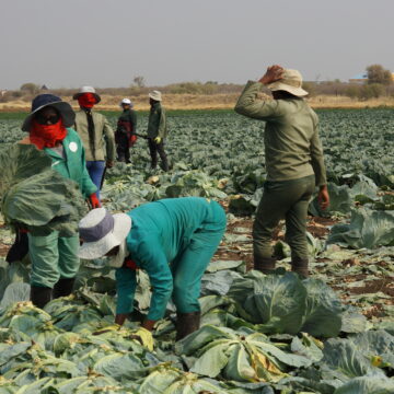 Farmers Kraal Farmers’ Kraal with Hanks Saisai – Basic mistakes most farmers make