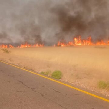 Fire Veld fire destroys grazing land at Khorixas