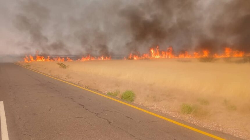 Veld fire destroys grazing land at Khorixas 