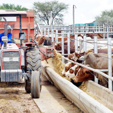 Food Imports NDP6: Namibia targets N$2.8b worth of strategic crop exports