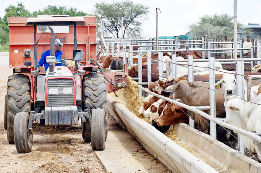 NDP6: Namibia targets N$2.8b worth of strategic crop exports 