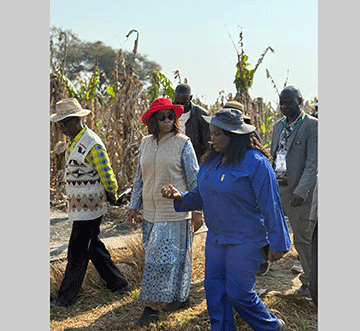 Va talela po eeproyeka doikulya moZambezi 