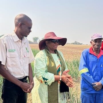 NNN recommits to food security