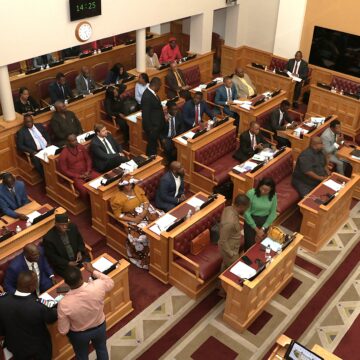MPs tackle health, gender and social welfare